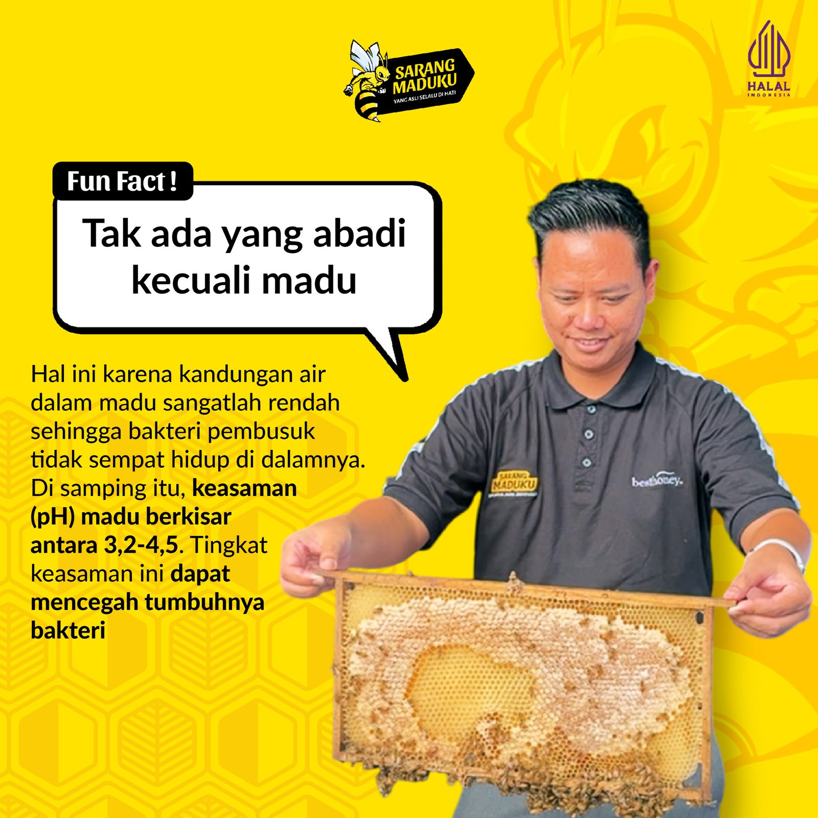 SMMT (Funfact) Sarang Maduku Madu Klanceng Biroi 325ml + Itama 70gr | Raw Honey Asli - Gambar 3