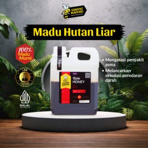 Home madu hutan mentah | madu hutan liar asli raw honey indonesia ukuran 1 kg sarang maduku